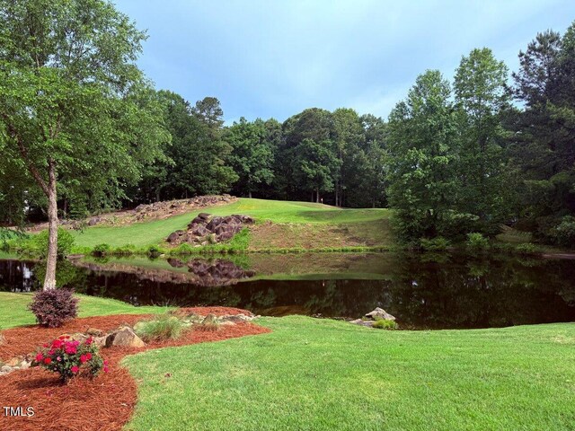 233 Hein Dr, Clayton, NC 27527 - photo 26