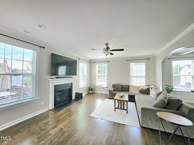 living room featuring plenty of natural light and wood finished floors