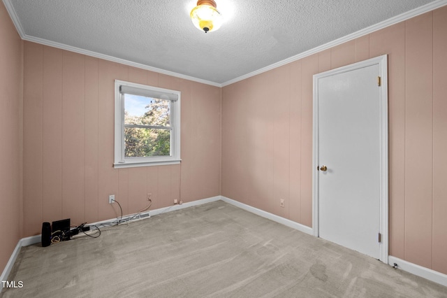 spare room featuring crown molding, carpet, and a textured ceiling