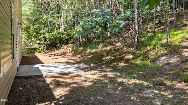 633 Prickly Pear Dr, Fuquay Varina, NC 27526 - view of yard featuring a patio area