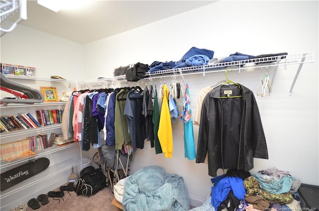 6226 Deerstand Rd, Wade, NC 28395 - spacious closet with carpet floors