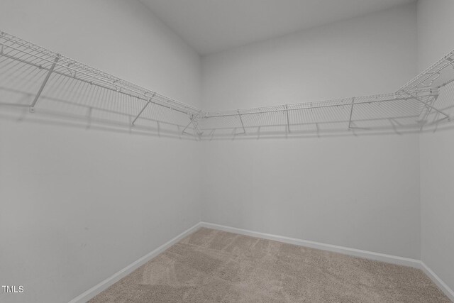 1047 Aberlour Ln, Burlington, NC 27215 - walk in closet with light colored carpet