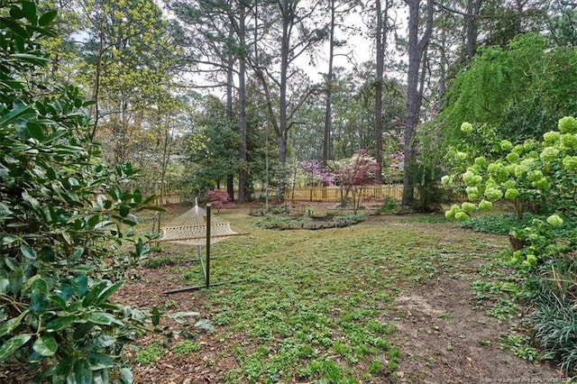 260 N Ridge St, Southern Pines, NC 28387 - photo 34