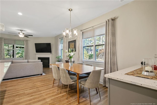 dining room featuring light wood finished floors, ceiling fan with notable chandelier, a wealth of natural light, and a fireplace