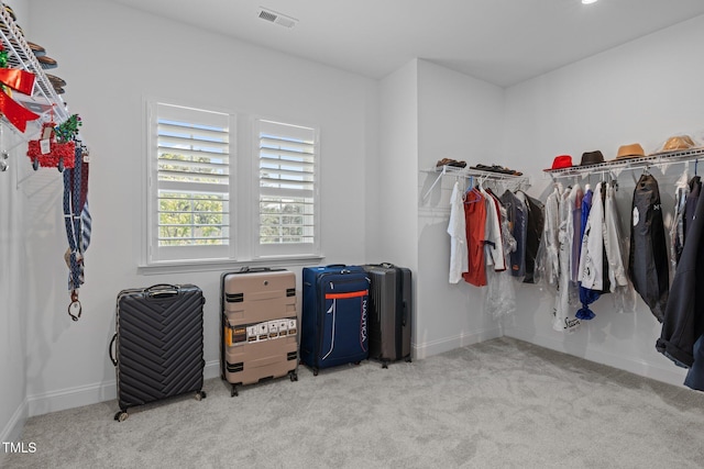 386 The Parks Dr, Pittsboro, NC 27312 - walk in closet with carpet floors