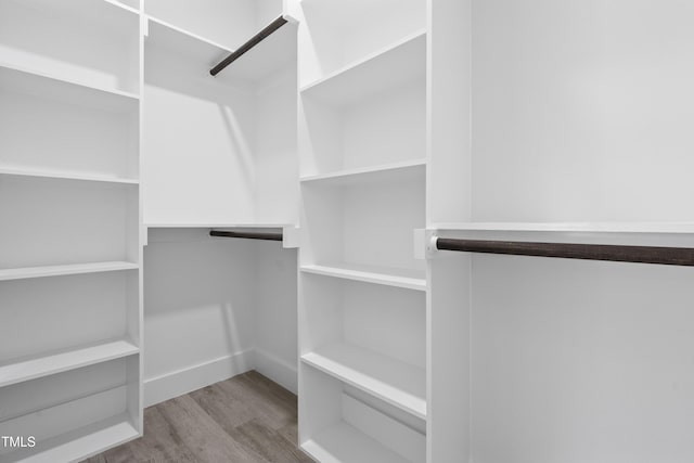 spacious closet featuring wood finished floors