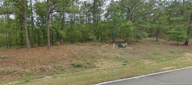 4 Peach Orchard Rd, Wagram, NC 28396