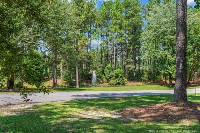 4 Peach Orchard Rd, Wagram, NC 28396