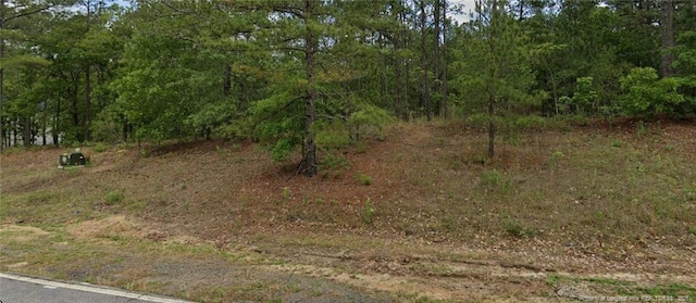 4 Peach Orchard Rd, Wagram, NC 28396