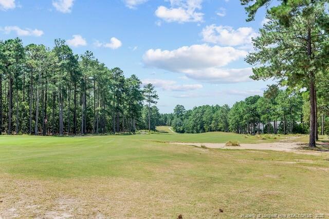 4 Peach Orchard Rd, Wagram, NC 28396