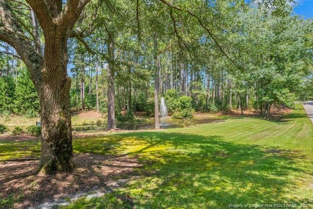 35 Peach Orchard Rd, Wagram, NC 28396