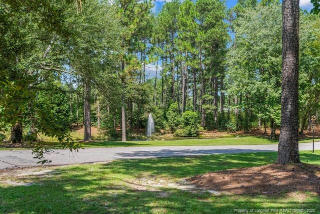 35 Peach Orchard Rd, Wagram, NC 28396