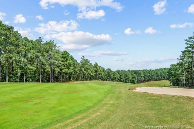 35 Peach Orchard Rd, Wagram, NC 28396