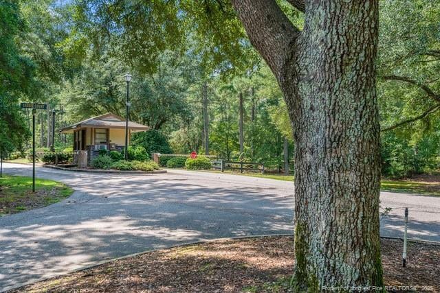 35 Peach Orchard Rd, Wagram, NC 28396