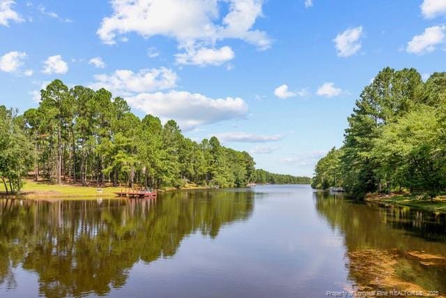 35 Peach Orchard Rd, Wagram, NC 28396