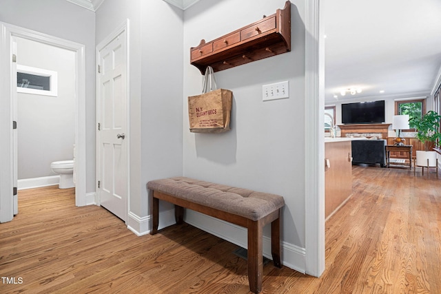 108 Nimbus Ct, Cary, NC 27513 - mudroom featuring light wood finished floors, crown molding, baseboards, and a fireplace