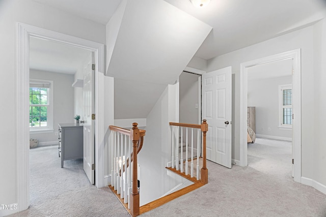 108 Nimbus Ct, Cary, NC 27513 - hallway with an upstairs landing, carpet flooring, and baseboards