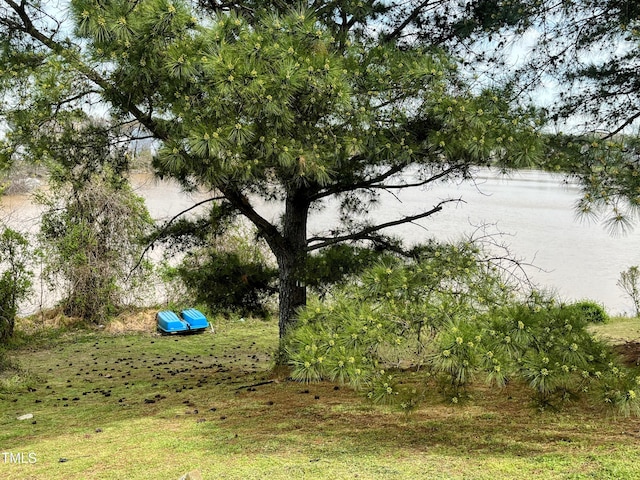 view of yard with a water view