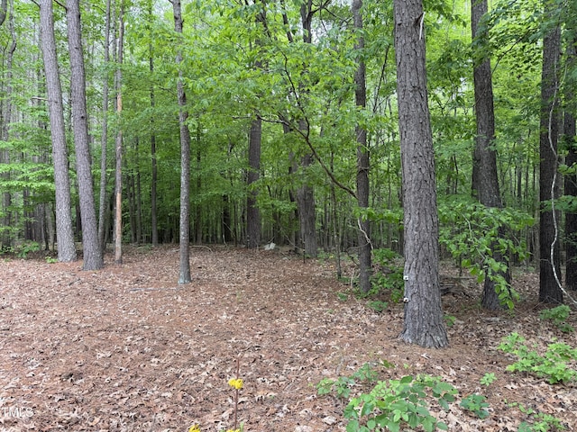 1 Rainbow Canyon Rd, Clayton, NC 27527
