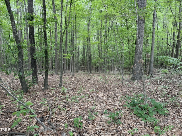 1 Rainbow Canyon Rd, Clayton, NC 27527