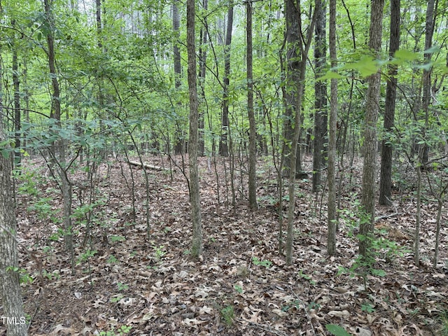 1 Rainbow Canyon Rd, Clayton, NC 27527