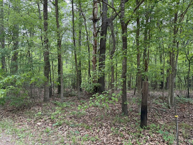 1 Rainbow Canyon Rd, Clayton, NC 27527