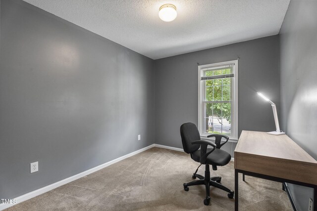 2416 Fields Of Broadlands Dr, Raleigh, NC 27604 - photo 19
