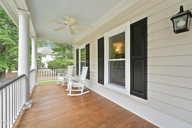 5317 Moonflower Ct, Holly Springs, NC 27540 - photo 5