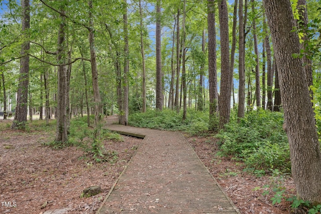 5317 Moonflower Ct, Holly Springs, NC 27540 - photo 67