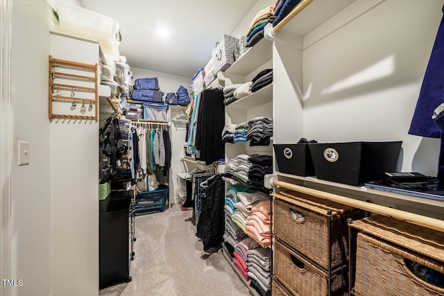 83 Vandalia Ave, Chapel Hill, NC 27516 - walk in closet featuring carpet