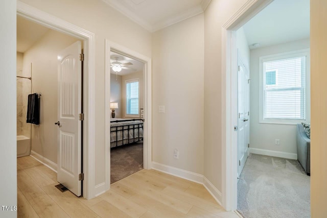 83 Vandalia Ave, Chapel Hill, NC 27516 - corridor featuring light wood-style flooring, baseboards, ornamental molding, and a healthy amount of sunlight