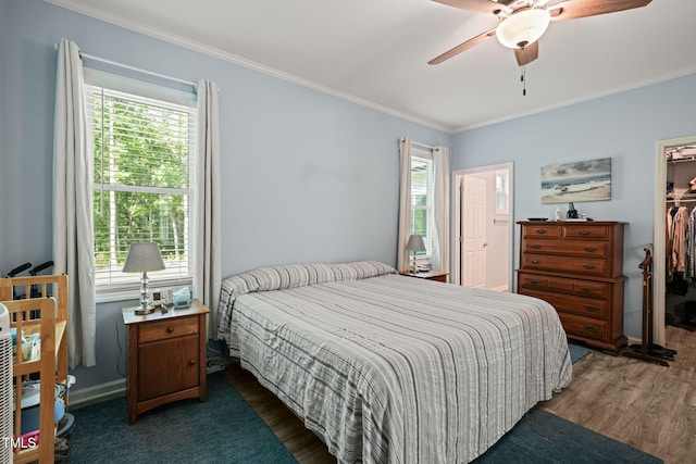 bedroom with dark wood finished floors, a spacious closet, ornamental molding, and a closet