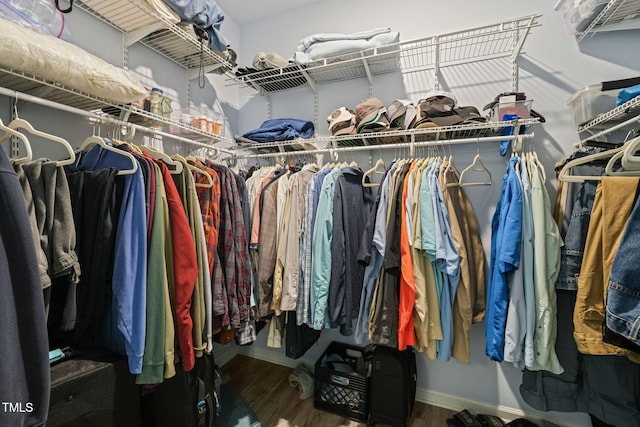 spacious closet with wood finished floors