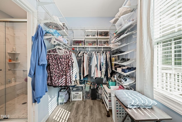 spacious closet featuring wood finished floors
