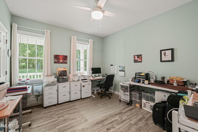 office area featuring light wood finished floors, a ceiling fan, and a wealth of natural light