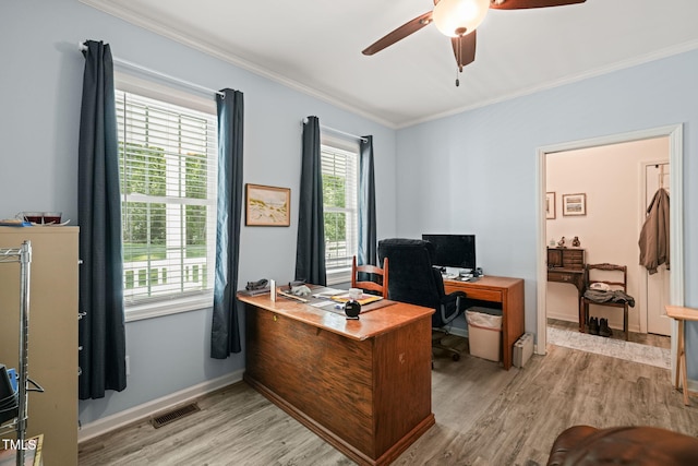 office space featuring ceiling fan, light wood-type flooring, crown molding, visible vents, and baseboards