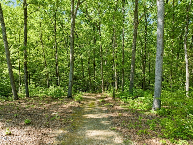 view of nature featuring a forest view