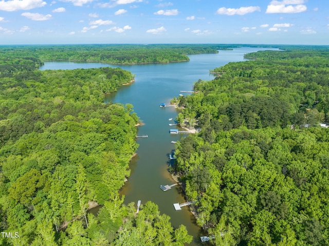 aerial view featuring a water view and a forest view