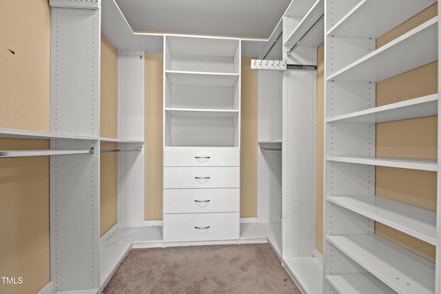 walk in closet with carpet floors