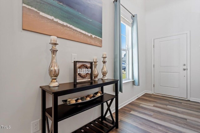 entrance foyer featuring a healthy amount of sunlight, baseboards, and wood finished floors