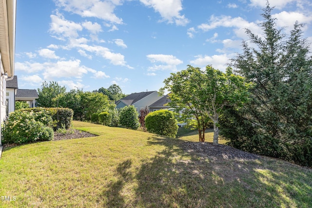1522 Palmer Hill Dr, Durham, NC 27703 - view of yard