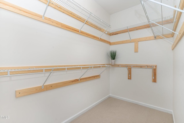 1522 Palmer Hill Dr, Durham, NC 27703 - walk in closet featuring carpet