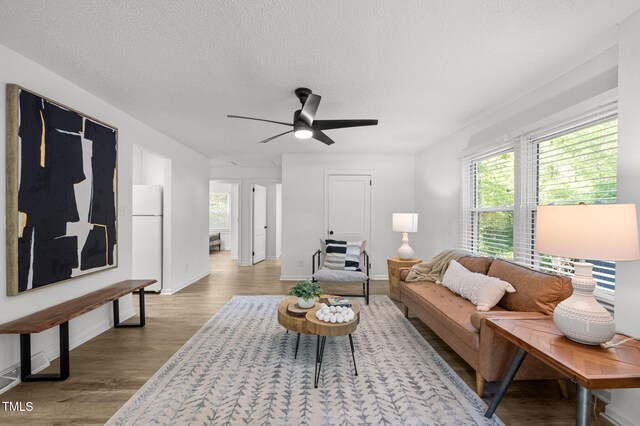 1613 Kilmer Ter, Durham, NC 27703 - living room with baseboards, a textured ceiling, ceiling fan, and wood finished floors