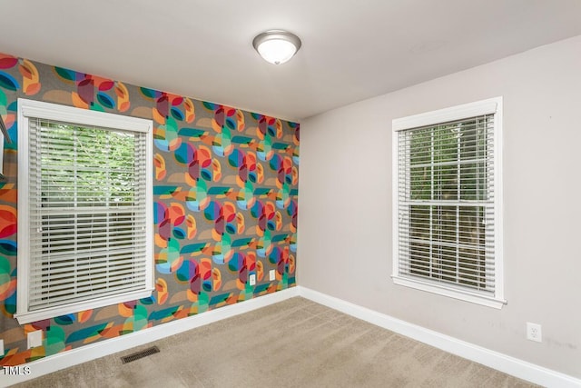 305 Freeman St, Raleigh, NC 27601 - carpeted spare room with baseboards and plenty of natural light