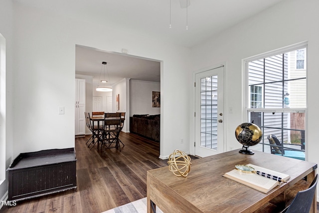 office featuring dark wood-style flooring and baseboards