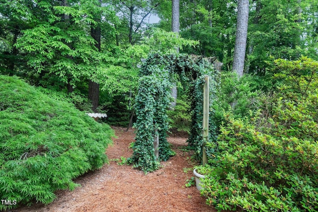 5800 Heatherbrook Cir, Raleigh, NC 27612 - view of yard