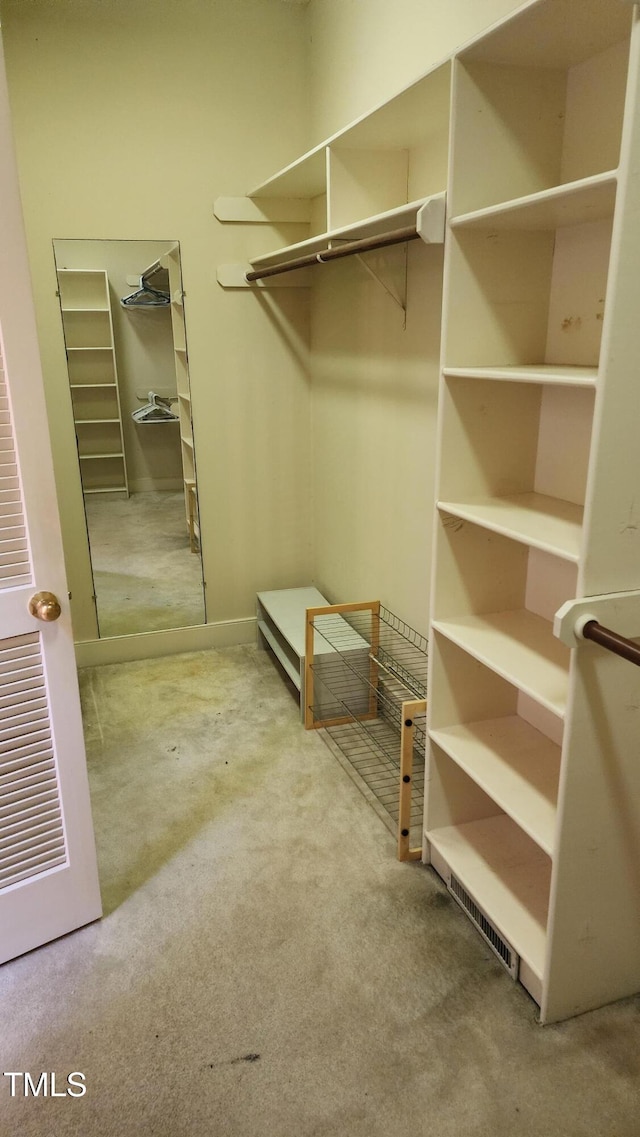 113 Colonial Dr, Wendell, NC 27591 - spacious closet featuring carpet flooring