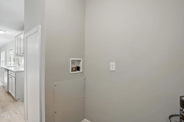 clothes washing area featuring a sink, light wood-style floors, and hookup for a washing machine