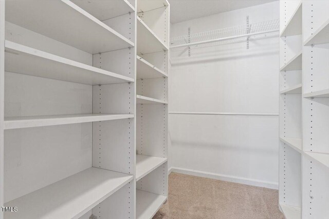 5124 Lazywood Ln, Durham, NC 27712 - walk in closet featuring carpet floors
