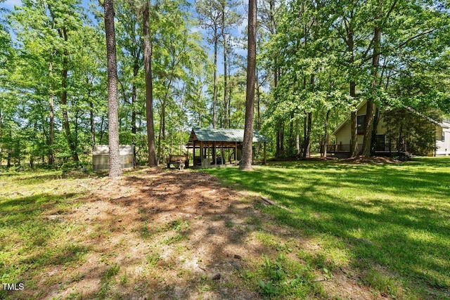 view of yard with an outdoor structure